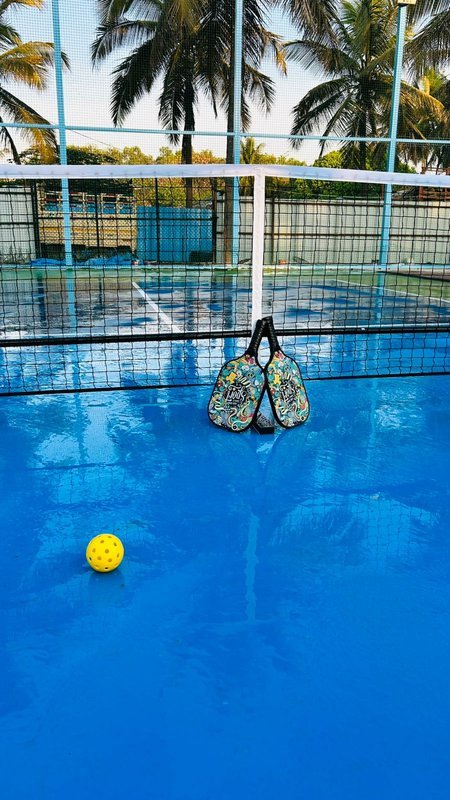 Pickleball court — two paddles